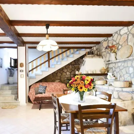 - Bacco Villa