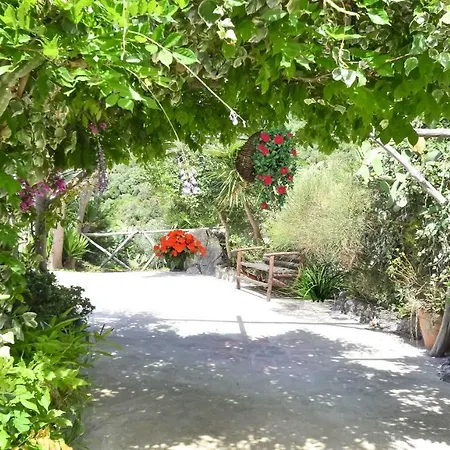 - Bacco Villa Massa Lubrense